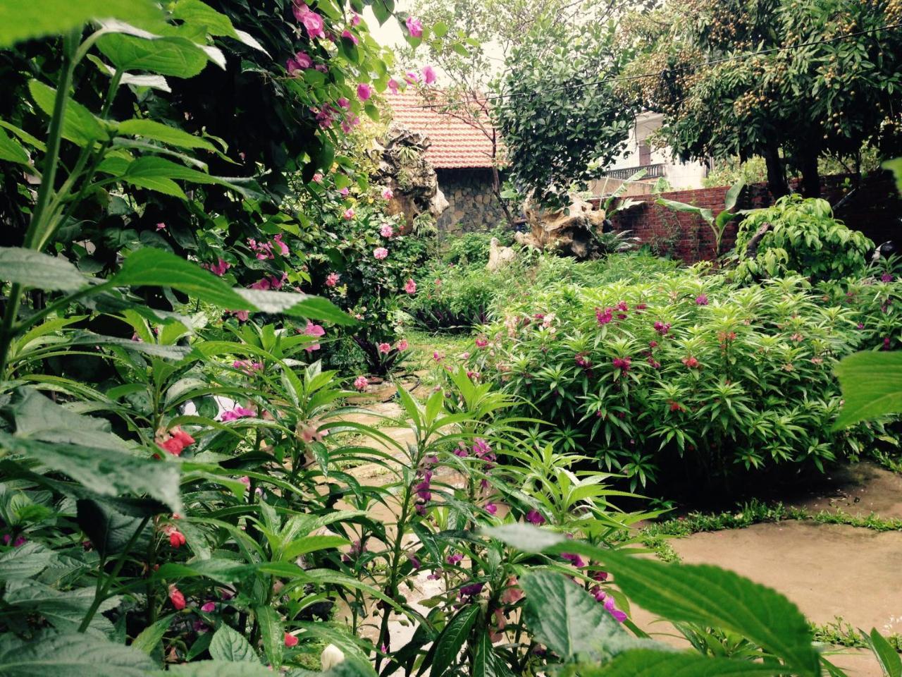 Mr. Viet Home Stay 닌빈 외부 사진