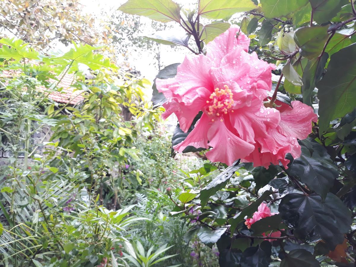 Mr. Viet Home Stay 닌빈 외부 사진