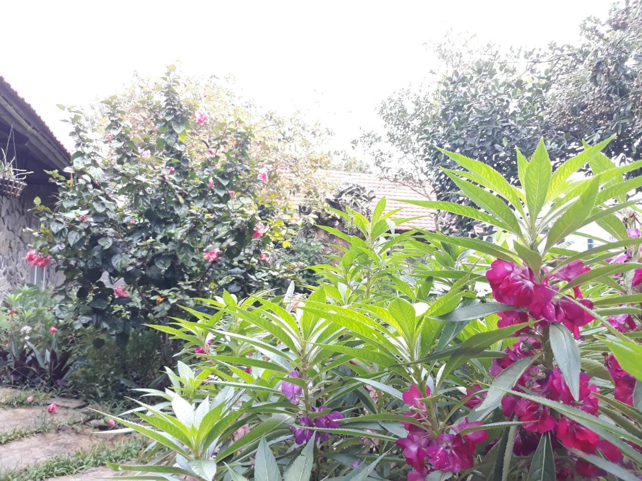 Mr. Viet Home Stay 닌빈 외부 사진